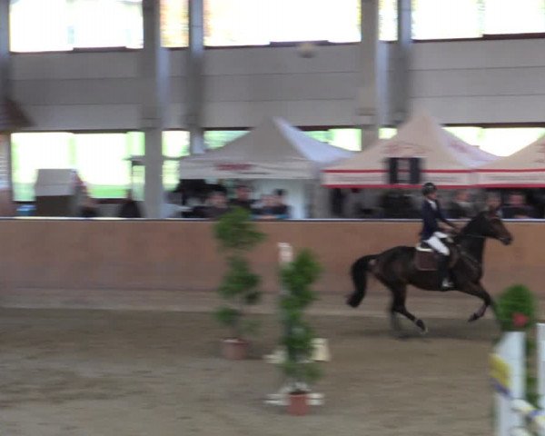 Reitturnier Prussendorf 2020