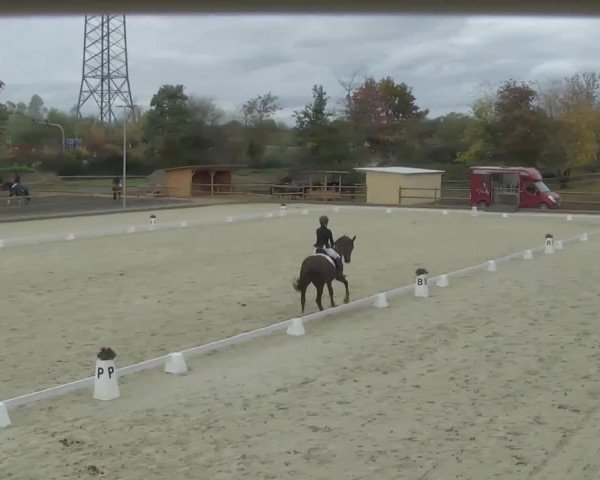 Reitturnier Troisdorf - Haus Rott 2020