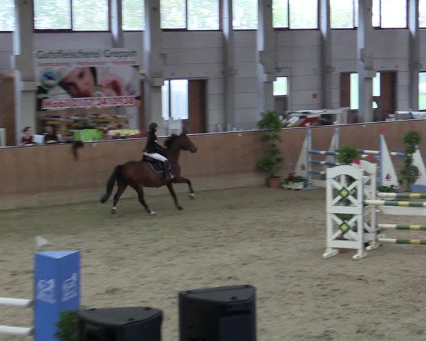 Reitturnier Prussendorf 2020