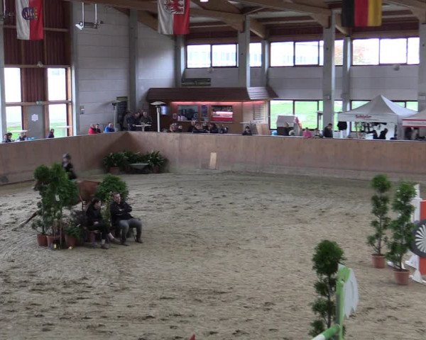 Reitturnier Prussendorf 2020