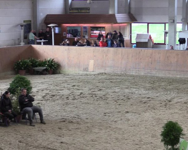 Reitturnier Prussendorf 2020