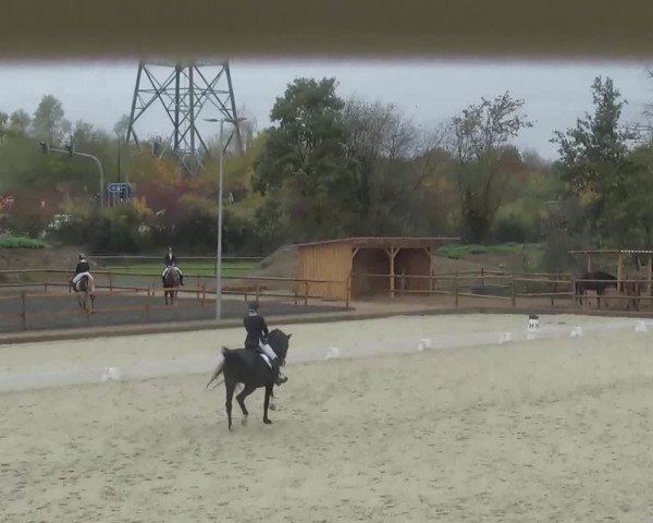 Reitturnier Troisdorf - Haus Rott 2020