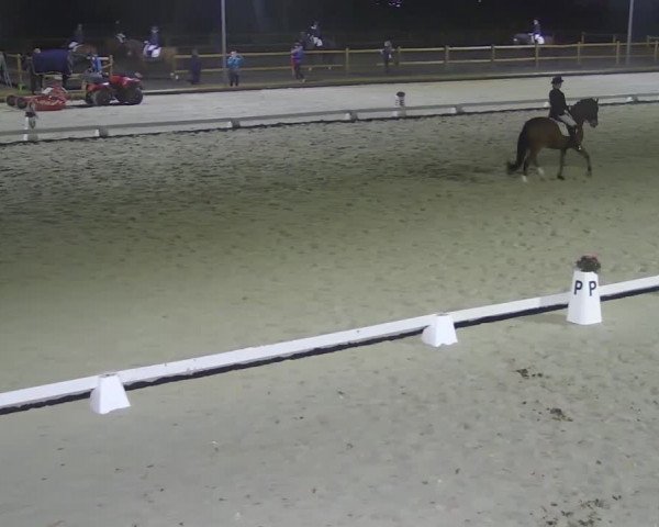 Reitturnier Troisdorf - Haus Rott 2020