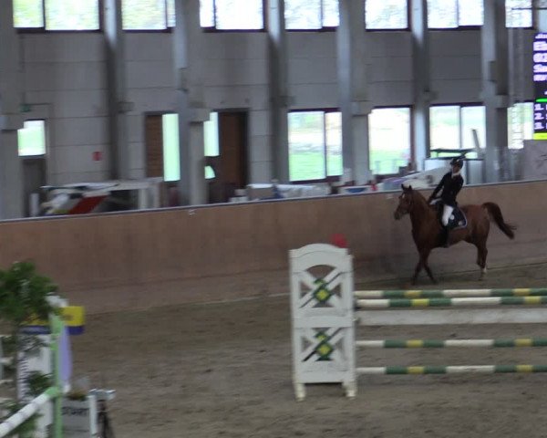 Reitturnier Prussendorf 2020