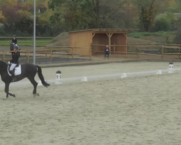 Reitturnier Troisdorf - Haus Rott 2020