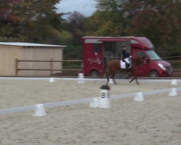 Reitturnier Troisdorf - Haus Rott 2020
