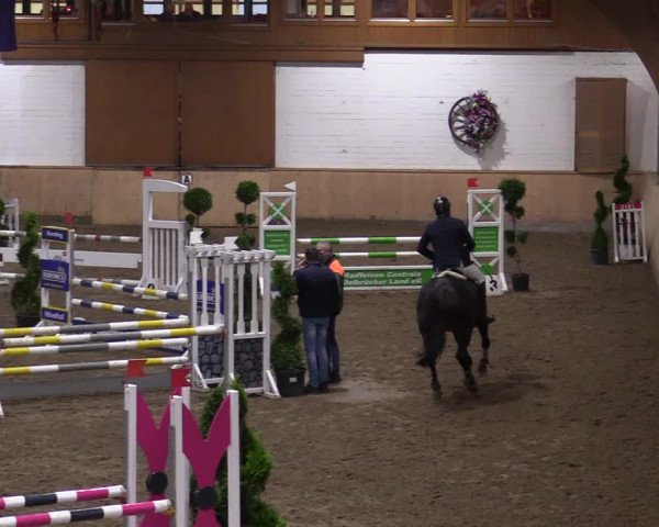 Reitturnier Hövelhof 2020