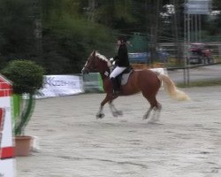 horse Tahlia (unknown, 2008)