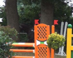 jumper Carlchen 69 (Holsteiner, 2008)