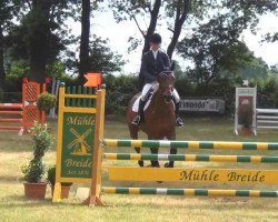 broodmare Alegra 104 (Holsteiner, 2008, from Clearway)
