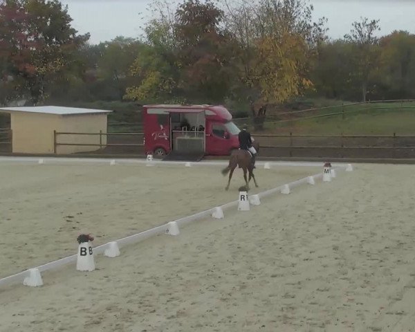 Reitturnier Troisdorf - Haus Rott 2020