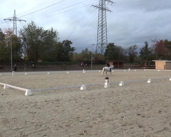 Reitturnier Troisdorf - Haus Rott 2020
