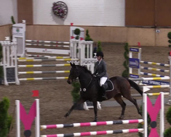 Reitturnier Hövelhof 2020