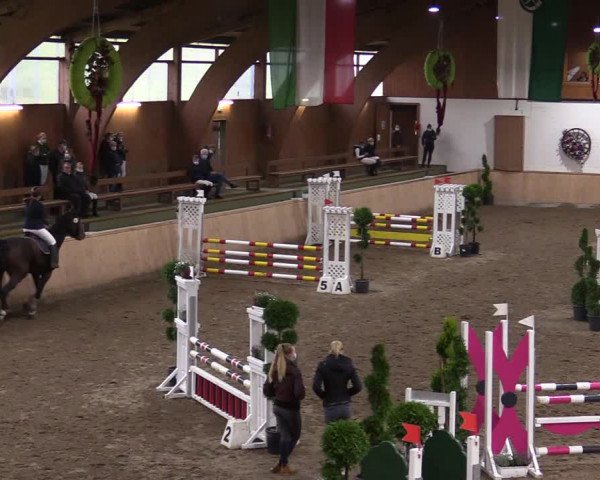 Reitturnier Hövelhof 2020