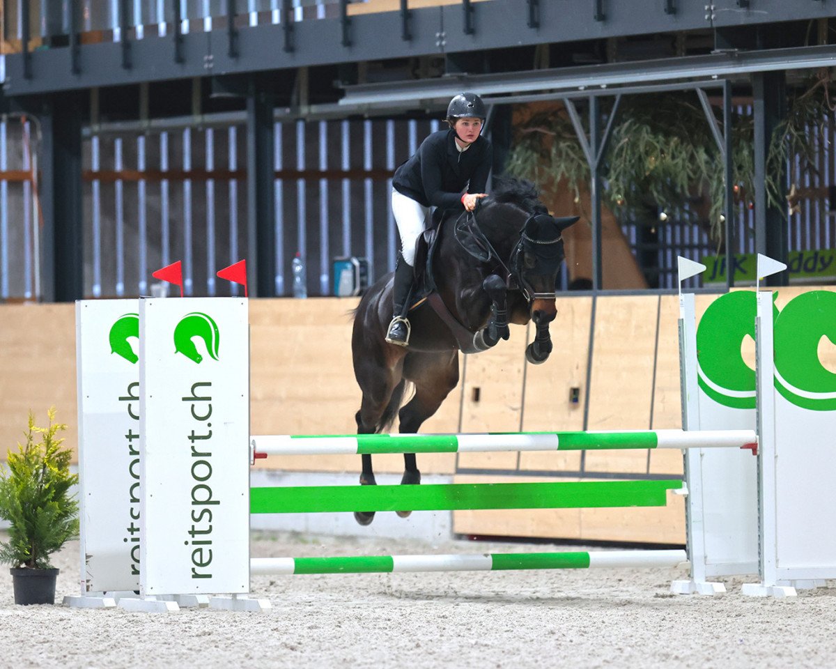 Springpferd Cleopatra Z (Zangersheide Reitpferd, 2015, von Cornet Obolensky)