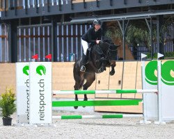 jumper Cleopatra Z (Zangersheide riding horse, 2015, from Cornet Obolensky)