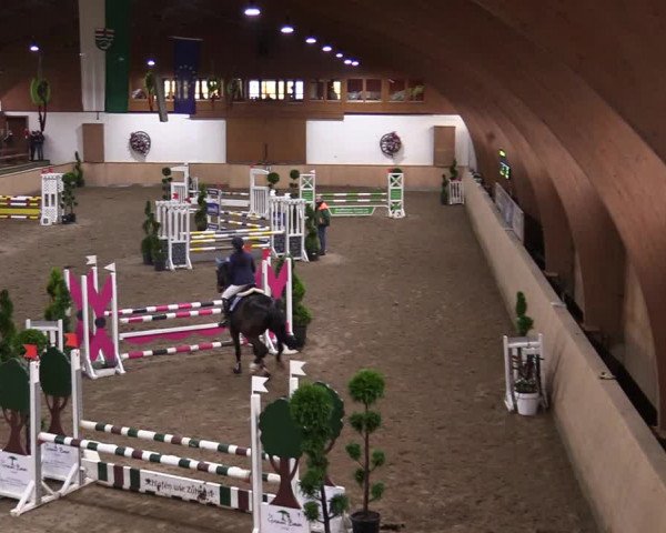 Reitturnier Hövelhof 2020