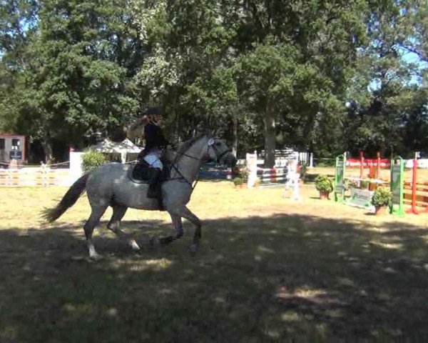 jumper Cora Lie (Holsteiner, 2006, from Landmann)