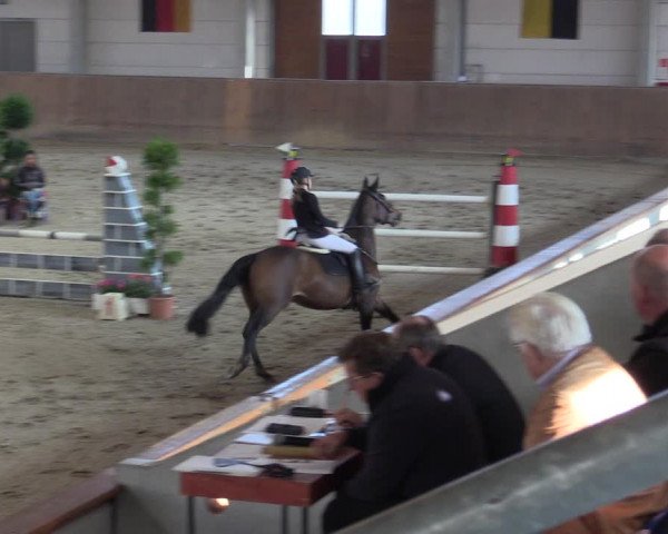 Reitturnier Prussendorf 2020