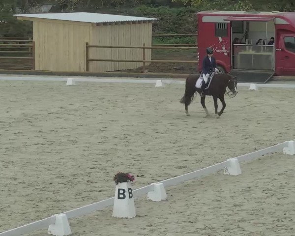 Reitturnier Troisdorf - Haus Rott 2020