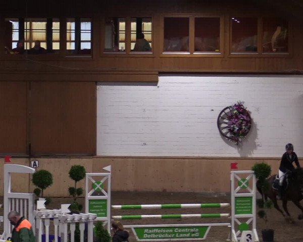Reitturnier Hövelhof 2020