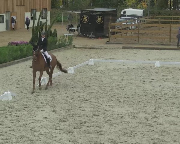 Reitturnier Troisdorf - Haus Rott 2020
