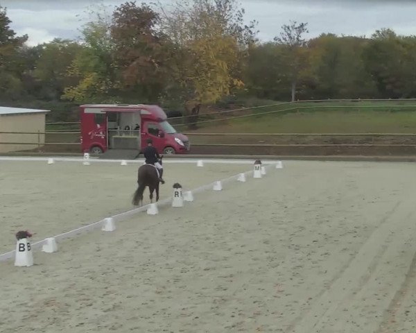 Reitturnier Troisdorf - Haus Rott 2020