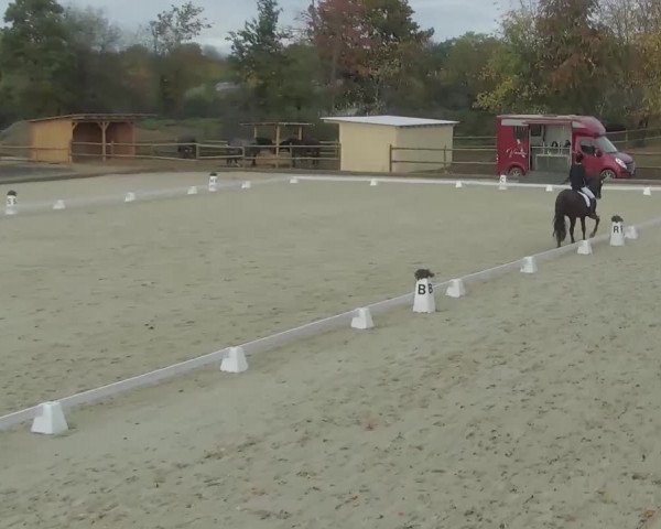 Reitturnier Troisdorf - Haus Rott 2020