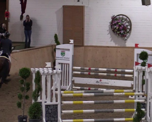 Reitturnier Hövelhof 2020