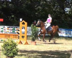 jumper Zoe 48 (Holsteiner, 2007, from Calido I)