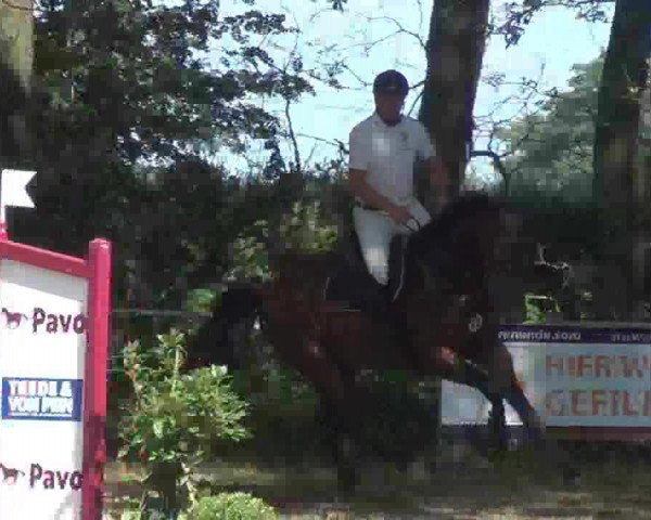 jumper Lucky Strike 91 (unknown, 2007)
