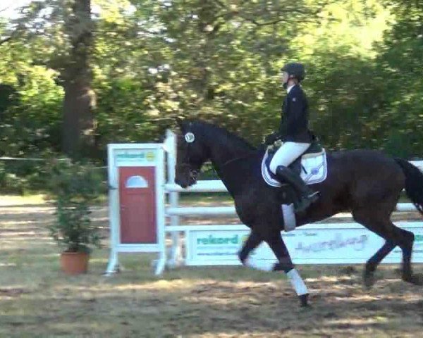 jumper Cadou J (Holsteiner, 2006, from Cormint)