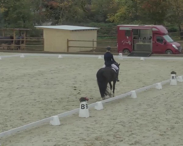 Reitturnier Troisdorf - Haus Rott 2020