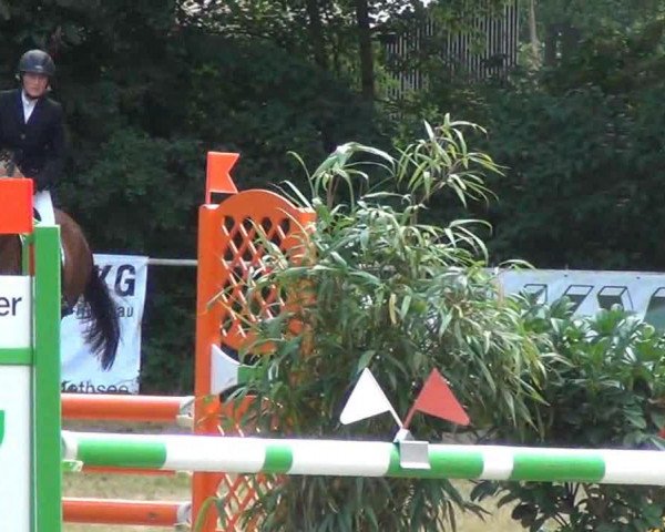 jumper Carago 2 (Holsteiner, 2008, from Caretino)
