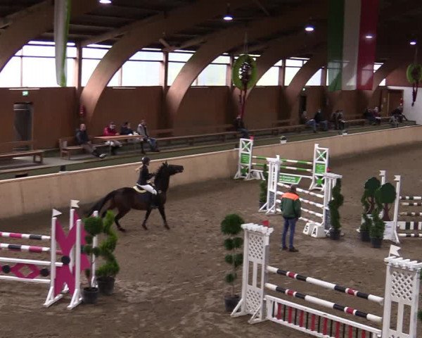 Reitturnier Hövelhof 2020