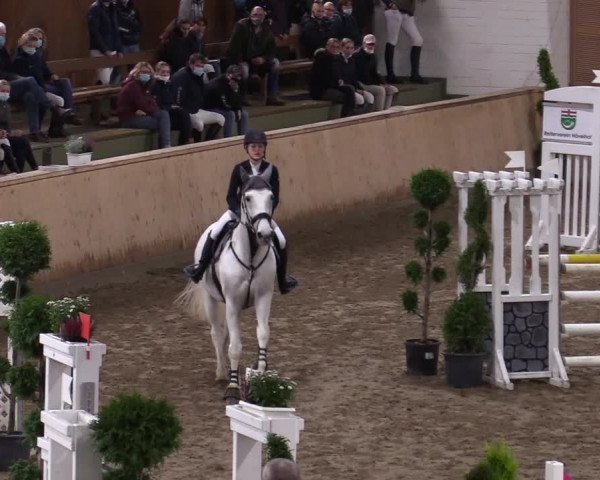 Reitturnier Hövelhof 2020