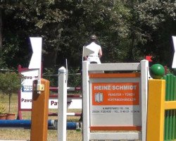 jumper Amelie (Holsteiner, 2008, from Friedensfuerst von Gohre 3207)