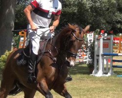 broodmare Claire 129 (Holsteiner, 2008, from Clarimo Ask)