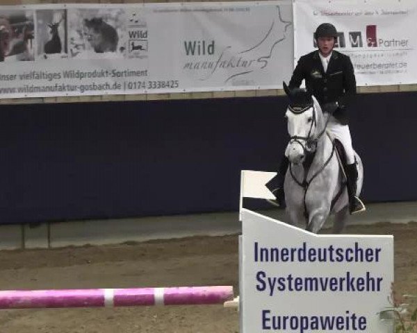 jumper Pms Luigi (Holsteiner, 2006, from Lux Z)