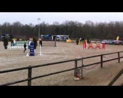 jumper Awita de Ligny (Belgium Sporthorse, 2006, from Canturo)