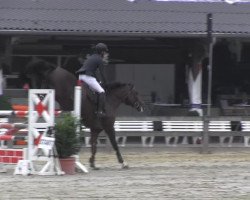 Pferd Khattar (unbekannt, 2003)