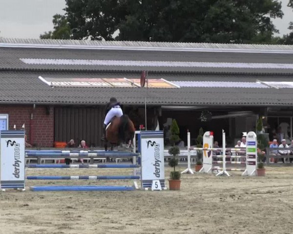 Springpferd Nawarah (Oldenburger, 2001, von Espri)