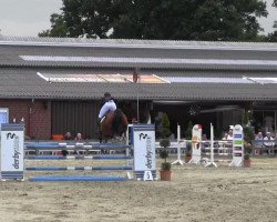 Pferd Nawarah (unbekannt, 2001)