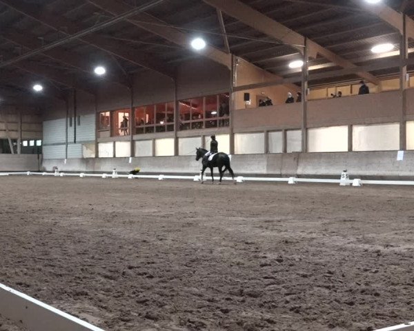 Reitturnier Urtenen-Schönbühl 2020