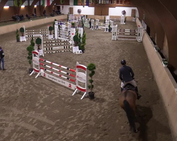 Reitturnier Hövelhof 2020
