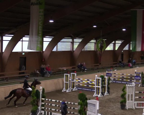 Reitturnier Hövelhof 2020
