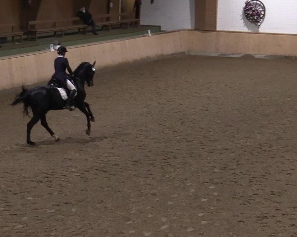 Reitturnier Hövelhof 2020