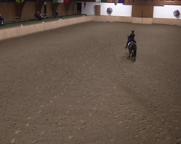 Reitturnier Hövelhof 2020