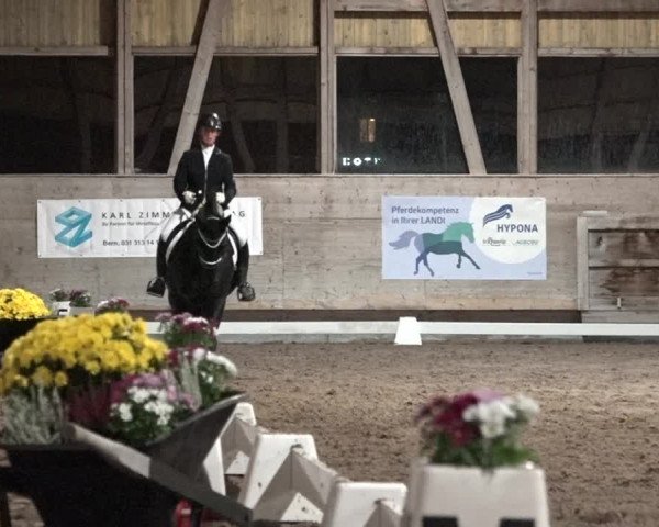 Reitturnier Urtenen-Schönbühl 2020