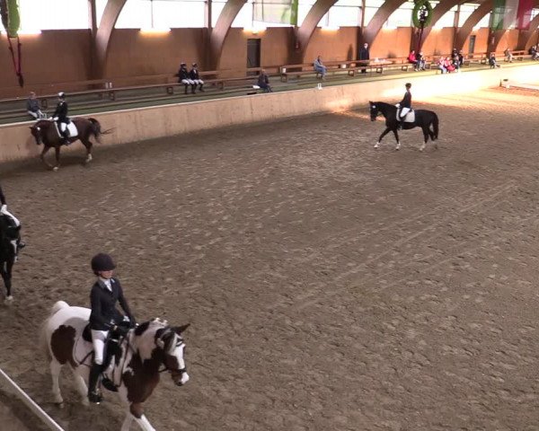 Reitturnier Hövelhof 2020